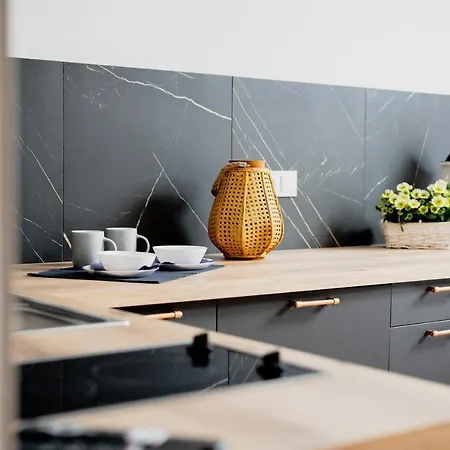 Citycenterapartment-m2i9 Apartment Katowice